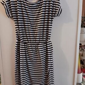 Womens cato black white stripes midi length dress size large